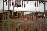 The roads around here mean a good trade in shock absorbers