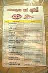 Our favourite menu ever
