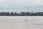 dsc_0271.jpg
