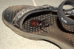 Andrea's sandal doubles as a house