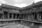 dsc_0386.jpg