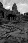 dsc_0422.jpg