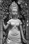 dsc_0427.jpg