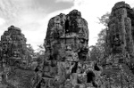 dsc_0428.jpg