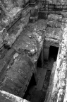 dsc_0437.jpg