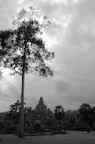 dsc_0449.jpg