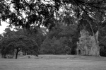 dsc_0482.jpg
