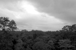 dsc_0518.jpg