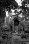 Ta Prohm
