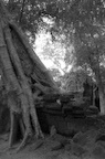 dsc_0523.jpg
