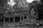 dsc_0535.jpg