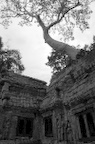 dsc_0570.jpg