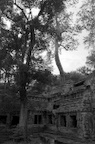 dsc_0573.jpg