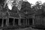 dsc_0596.jpg