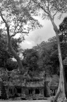 dsc_0622.jpg