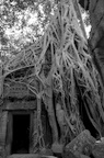 dsc_0645.jpg