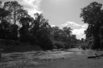 dsc_0700.jpg