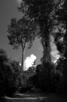 dsc_0702.jpg