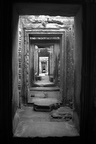dsc_0716.jpg