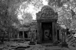 dsc_0722.jpg