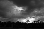dsc_0740.jpg