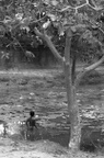 dsc_0769.jpg