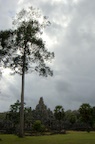 dsc_0449.jpg