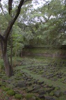 dsc_0467.jpg