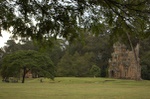 dsc_0482.jpg