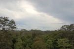 dsc_0518.jpg