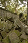 dsc_0527.jpg