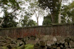 dsc_0538.jpg