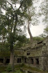 dsc_0573.jpg