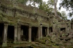 dsc_0585.jpg
