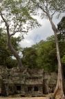 dsc_0622.jpg
