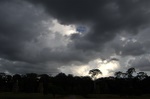 dsc_0740.jpg