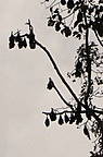 dsc_0361.jpg