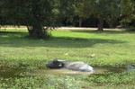dsc_0663.jpg