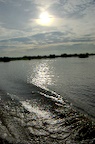 dsc_0848.jpg