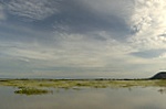 These wetlands will dry up after the wet season