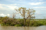 dsc_0864.jpg