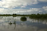 dsc_0891.jpg