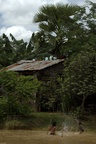 dsc_0926.jpg