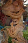 dsc_0989.jpg