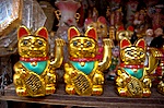 dsc_1272.jpg