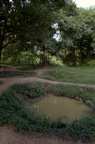 dsc_1195.jpg