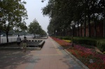 dsc_5994.jpg