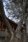 dsc_6033.jpg