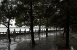dsc_6184.jpg