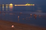 dsc_6242.jpg